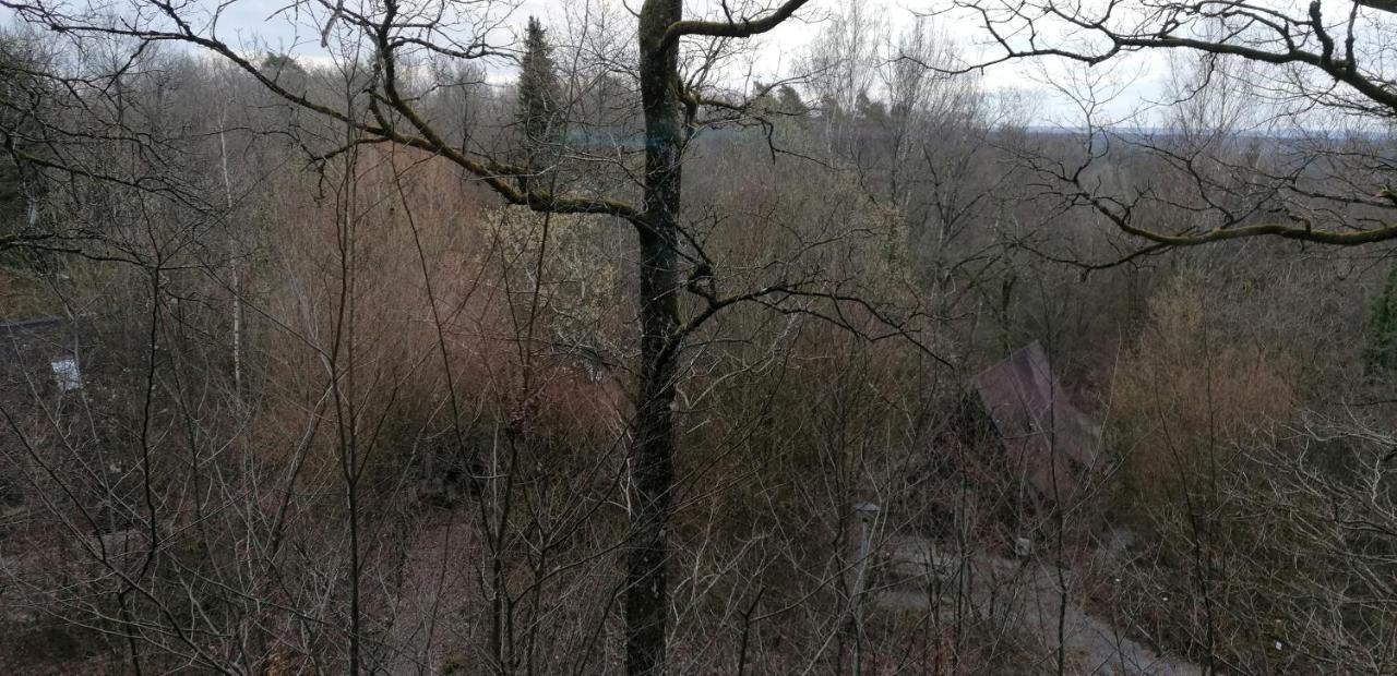 Вилла Chalet Дюрбюи Экстерьер фото